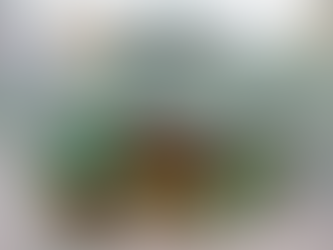 Hochbeet Bauanleitung