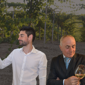 Palazzo Centofanti vini bio