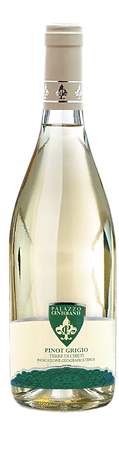 pinot grigio abruzzo biologico palazzo centofanti