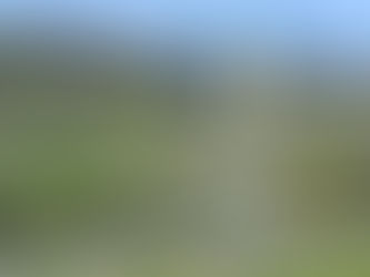 Palazzo Centofanti Glas Wein Abruzzen