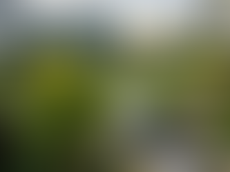  Commercial Landscaping Benefits