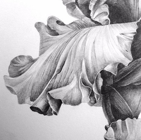 pencil.jpg