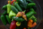 Freshly-Harvested Peppers