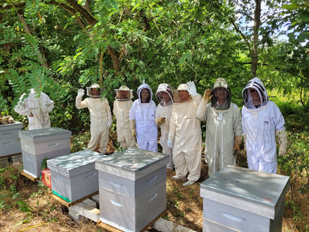 Activité Apiculture