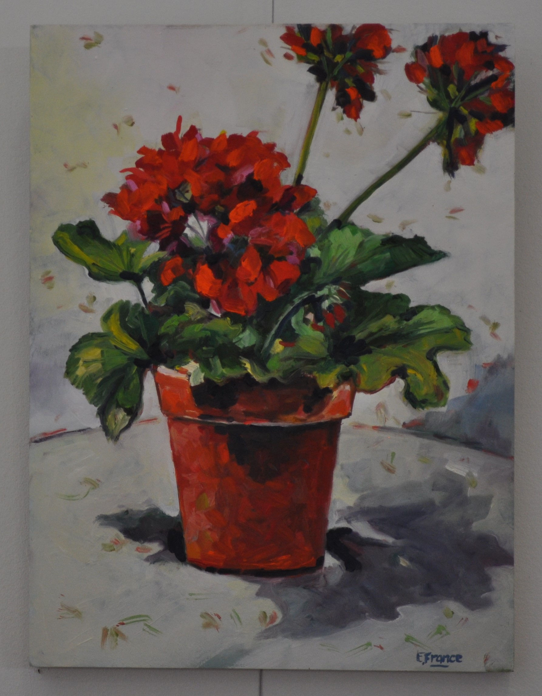 55 - Geranium with Terracotta