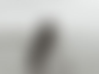 Quem sou eu - Dani Elle