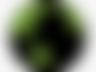 planeta terra em verde epreto