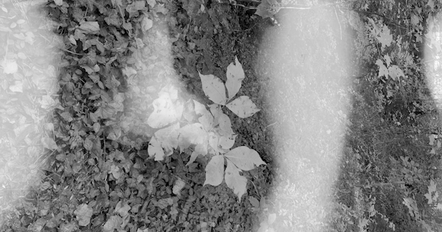 Screen Shot 2021-11-14 at 1.35.02 PM copy.png