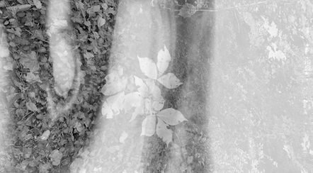 Screen Shot 2021-11-14 at 1.35.22 PM copy.png