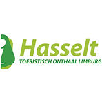 logo visit Hasselt