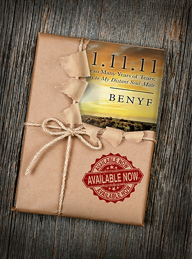 11.11.11 After so Many Years of Tears: Letters to My Distant Soul-Mate