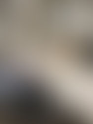 Supporting Leader Well-Being Through Coaching