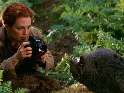 The Lost World