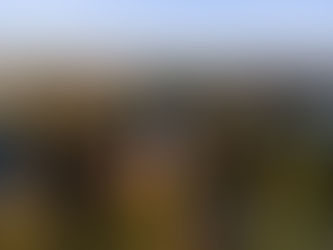 My Friend Harris’ Birthday