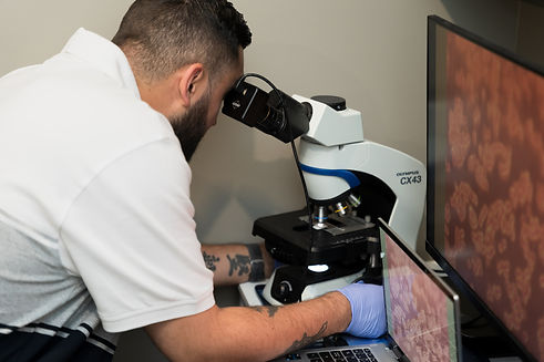 R microscope.jpg