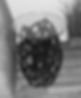 File_001_edited.jpg
