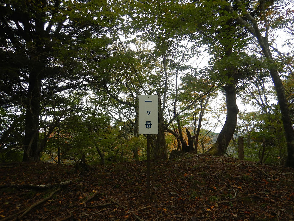 【例会山行】2024/10/20　富士五湖 西湖北 十二ヶ岳
