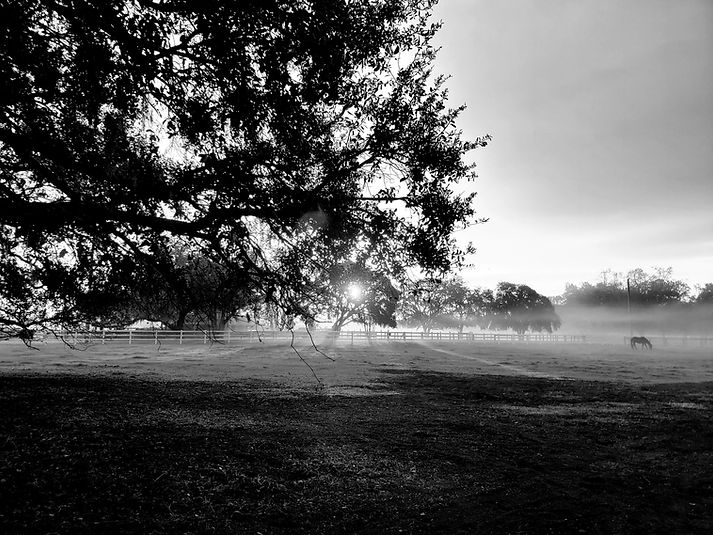 shady oaks farm picture.jpg