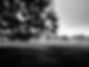 shady oaks farm picture.jpg