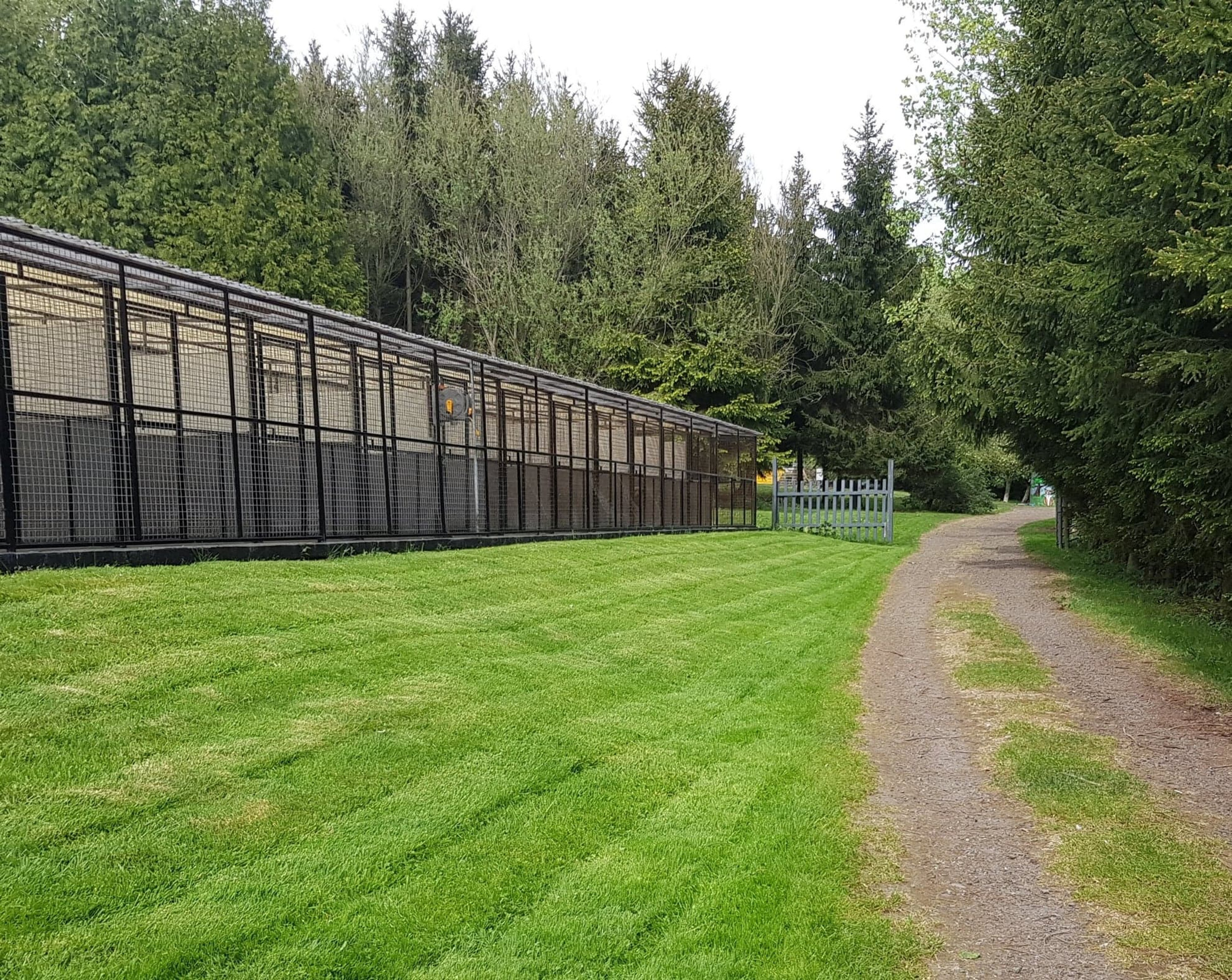 Testimonials Oakenshaw Boarding Kennels