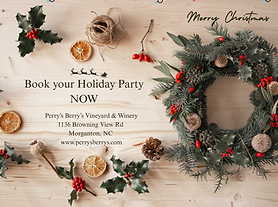 Book your Holiday Parties NOW (4).png