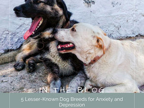 5 Lesser-Known Dog Breeds for Anxiety and Depression