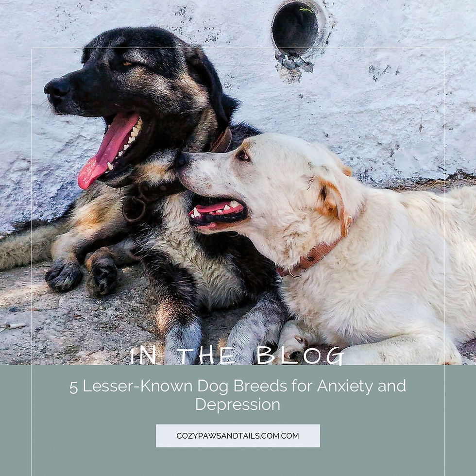 5 Lesser-Known Dog Breeds for Anxiety and Depression