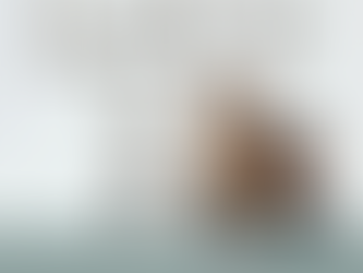 How to Show Your Fur Child the Love on Valentine’s Day 🐾❤️