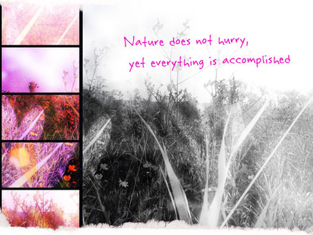 The Season of Undoing: Learning to Slow Down in a World That Never Stops