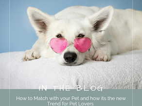 How to Match with your Pet and how its the new Trend for Pet Lovers