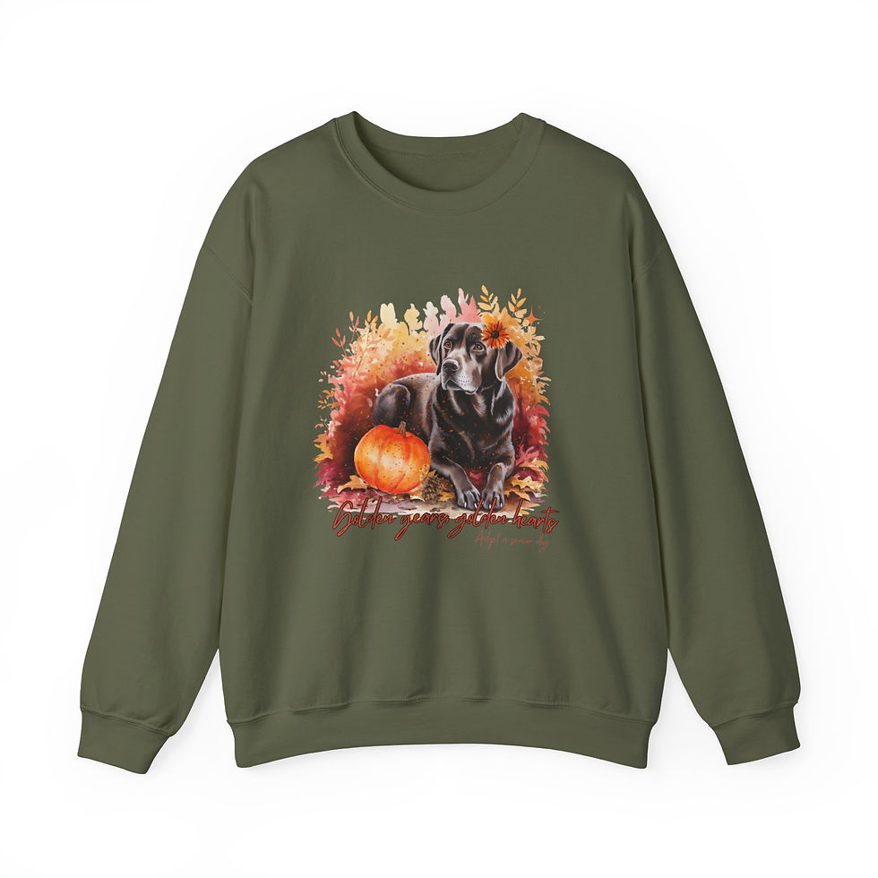 Thumbnail: Follow Your Golden Harts Pumpkin Dog  Sweatshirt