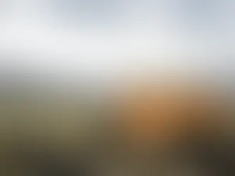 La perseverancia de Noé: ¿Qué podemos aprender de su obediencia?