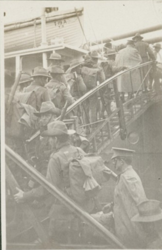 Mogo's Anzacs Book Cover