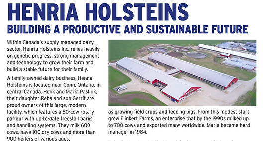 Semex Feature Henria Holsteins