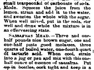 Sassafras Tea