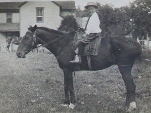 Boy Kicked by Horse 1901