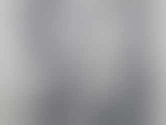 African American Veterans