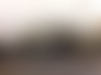 Wait 'til you hear what they collected next...