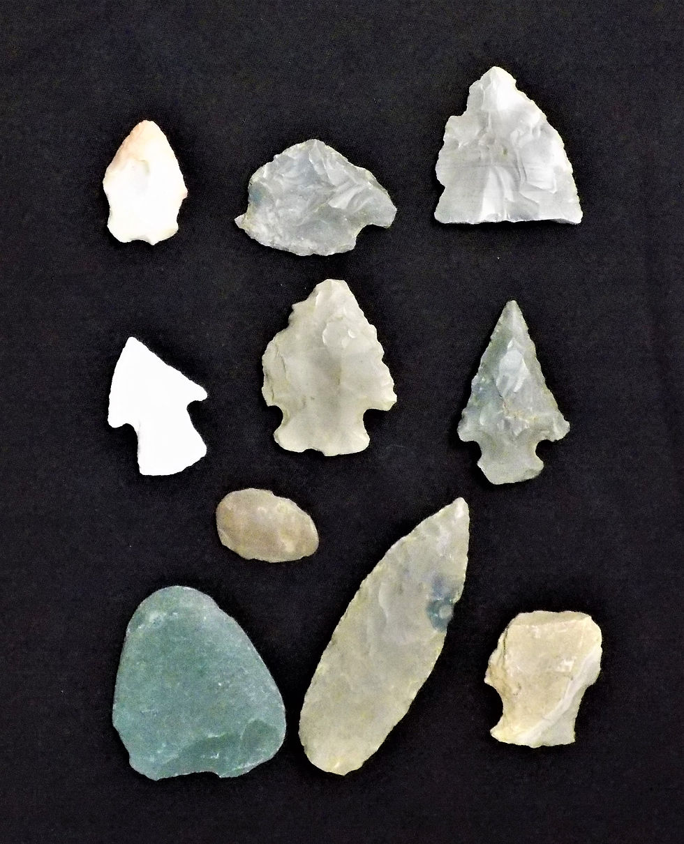 Natives and Buffalos