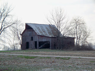 1867: Beware Bulls in Richland County