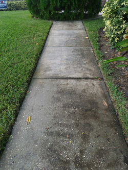 20201104_110652_1613051655231