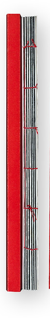 p10 2_edited.jpg