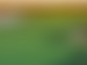 Edgy Golf Sponsorship: Is it an Opportunity or a Risk?