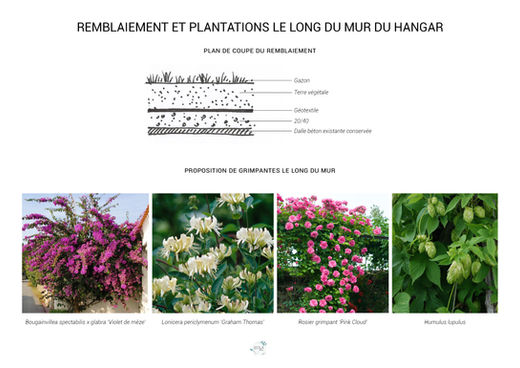 dépose d'un mur en parpaings, remblaiement de l'espace et gestion des eaux pluviales et plantation de plantes grimpantes
atelier Ecila