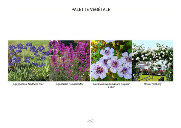 palette végétale
aménagements extérieurs
gîte
Telgruc sur Mer
aménagements paysagers
architecte paysagiste
Finistère
paysagiste concepteur
atelier Ecila