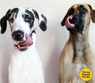 Have you ever thought of how infectious mood is?