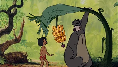 10 Quotes From The Jungle Book That Will Make You Think Smile And Thrive