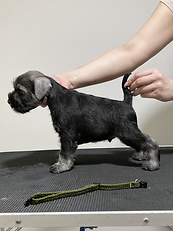 5A70BE8C-307E-415B-B6D2-F3F3BC90D1B5_1_2