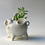 Thumbnail: Piggy Planter