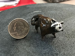 tiny inquisitive raccoon